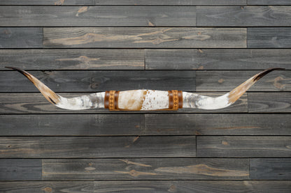 4' 11" Longhorn Wall Mount #314