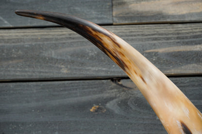 4' 11" Longhorn Wall Mount #314