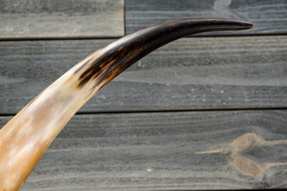 4' 11" Longhorn Wall Mount #314