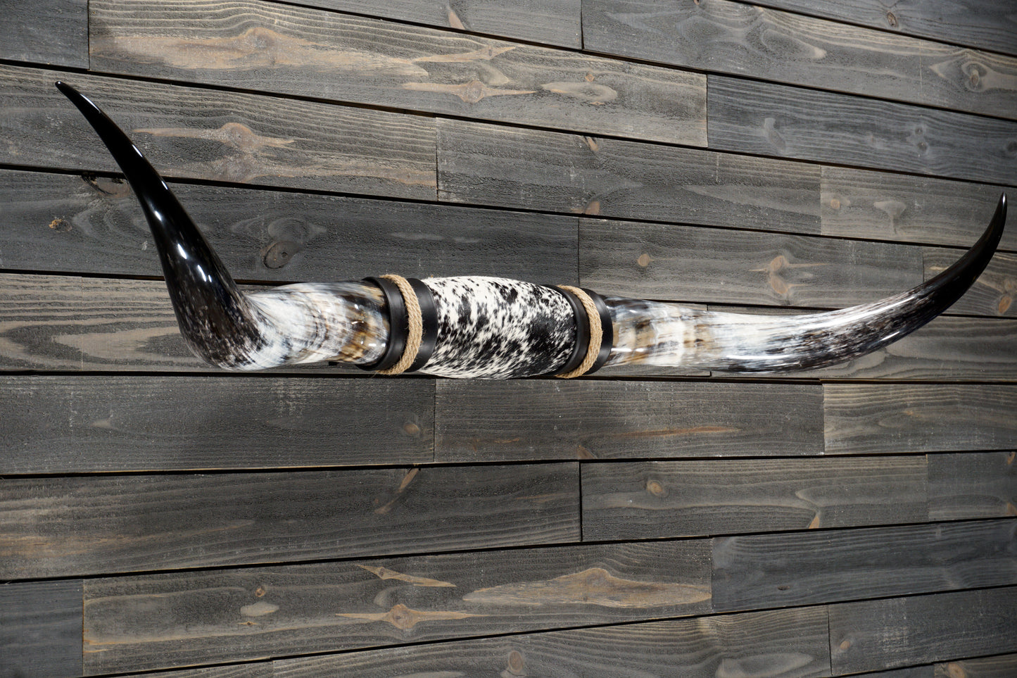 5' 10" Longhorn Wall Mount #319