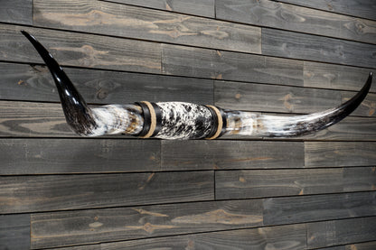 5' 10" Longhorn Wall Mount #319