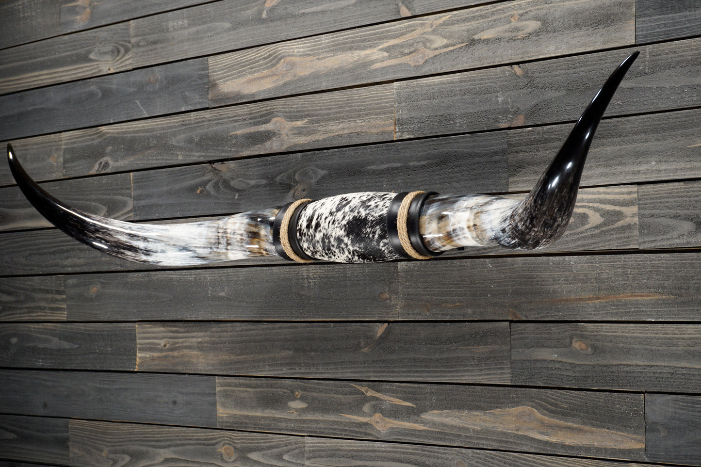 5' 10" Longhorn Wall Mount #319