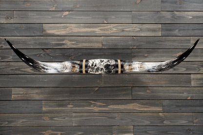 5' 10" Longhorn Wall Mount #319