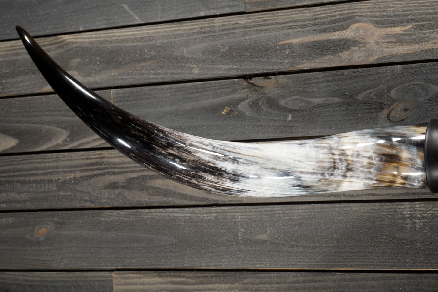 5' 10" Longhorn Wall Mount #319