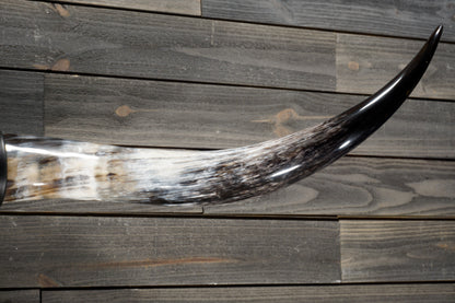 5' 10" Longhorn Wall Mount #319