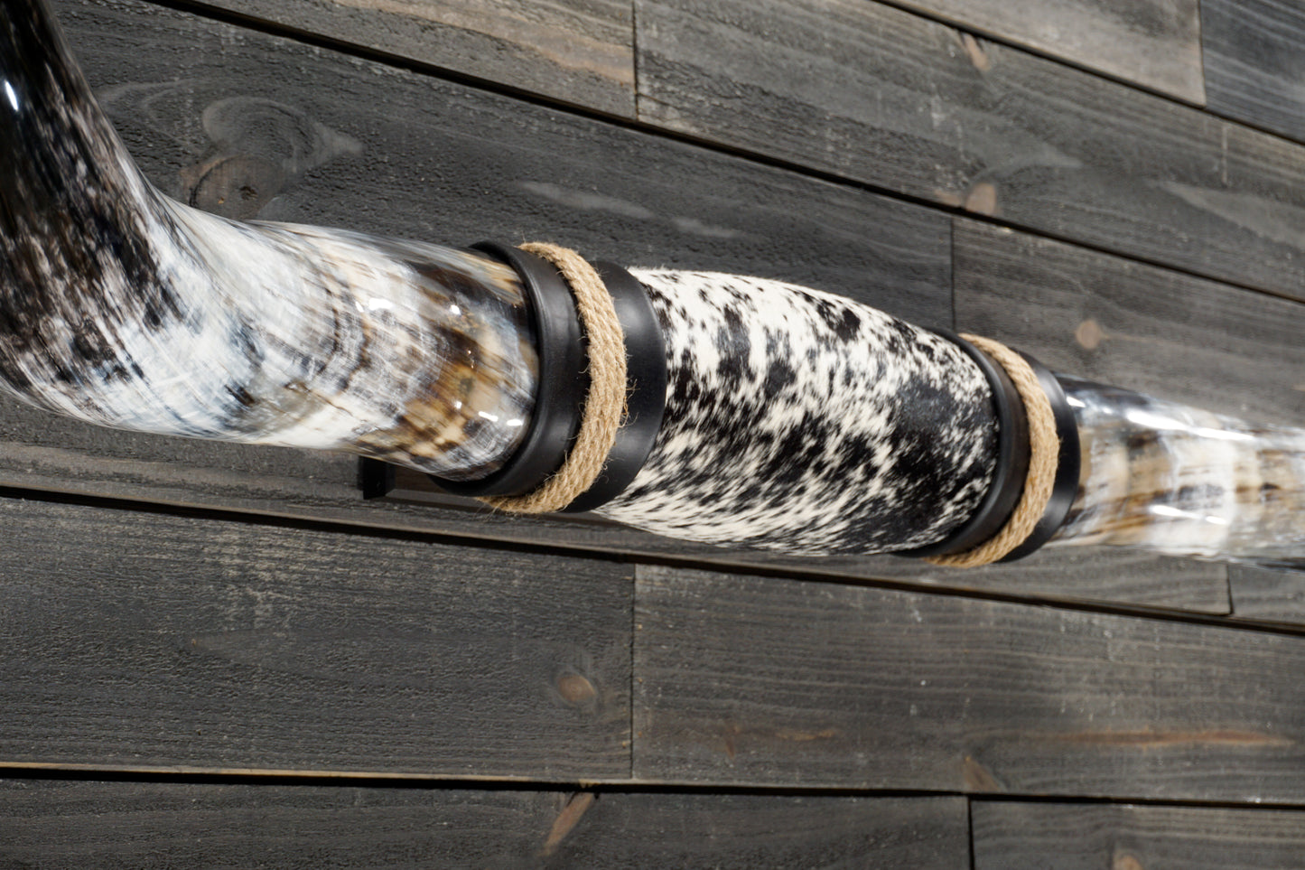 5' 10" Longhorn Wall Mount #319