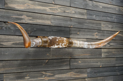 5' 3" Longhorn Wall Mount #322