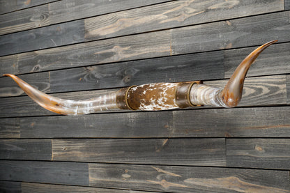5' 3" Longhorn Wall Mount #322
