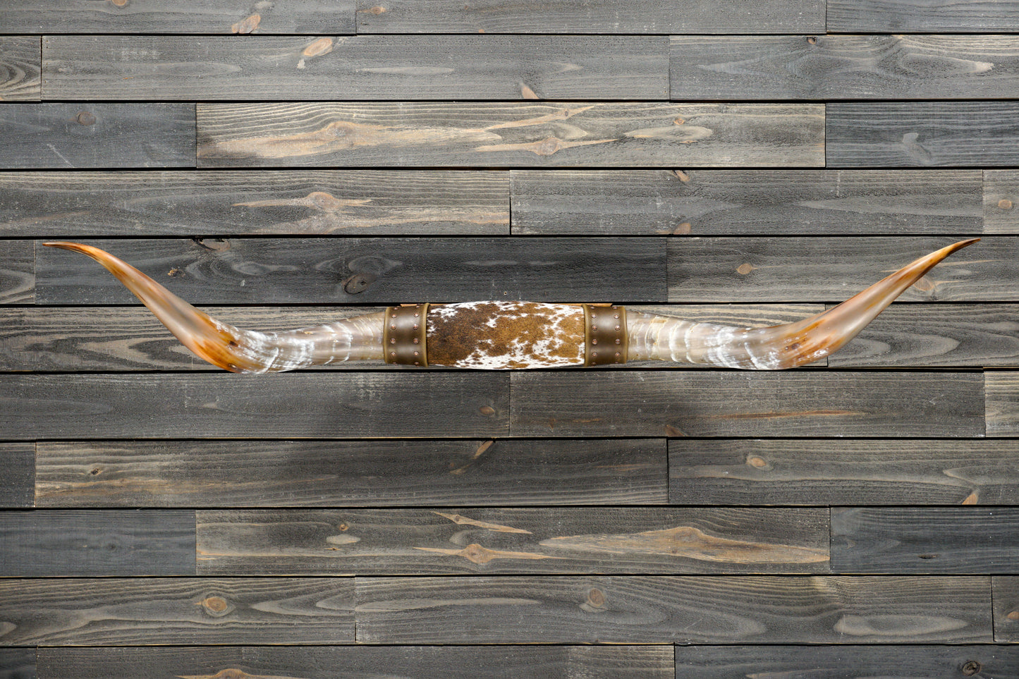 5' 3" Longhorn Wall Mount #322