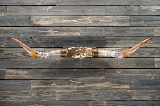 5' 3" Longhorn Wall Mount #322