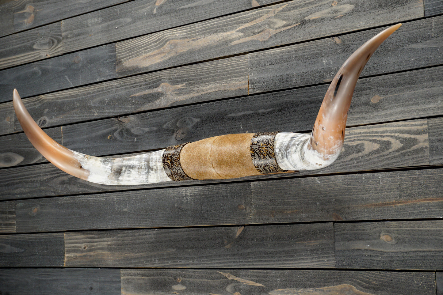 4' 8" Longhorn Wall Mount #325