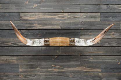 4' 8" Longhorn Wall Mount #325