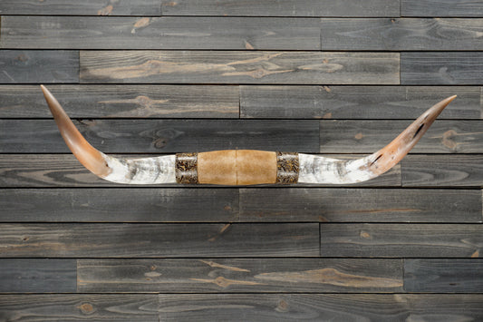 4' 8" Longhorn Wall Mount #325