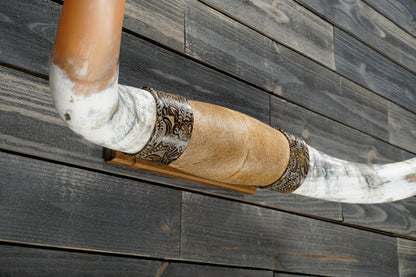 4' 8" Longhorn Wall Mount #325