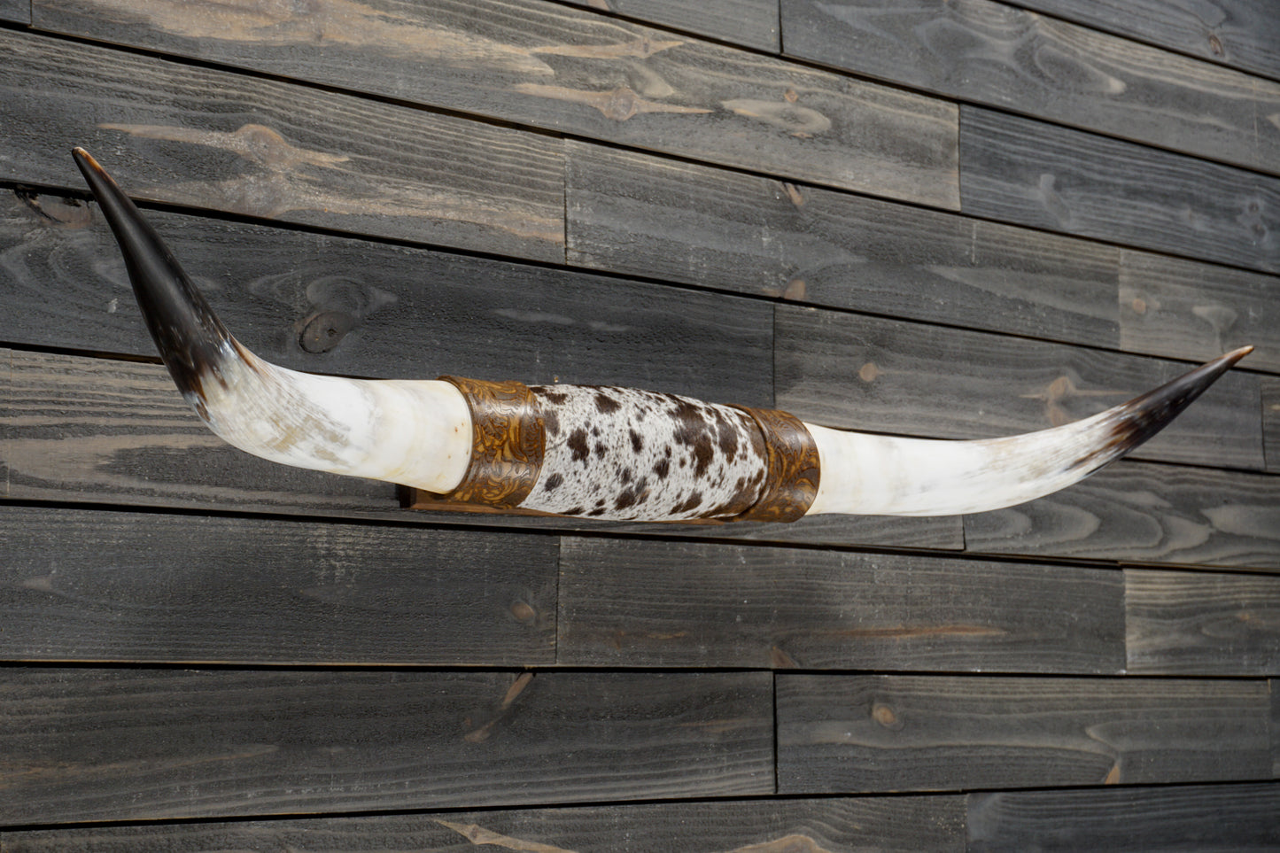 5' 2" Longhorn Wall Mount #329
