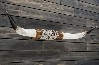 5' 2" Longhorn Wall Mount #329