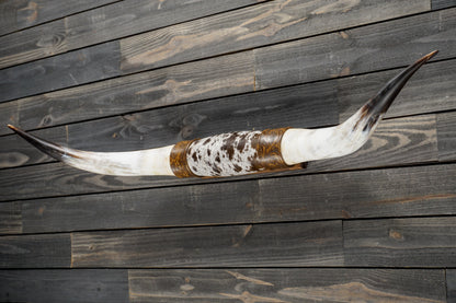 5' 2" Longhorn Wall Mount #329