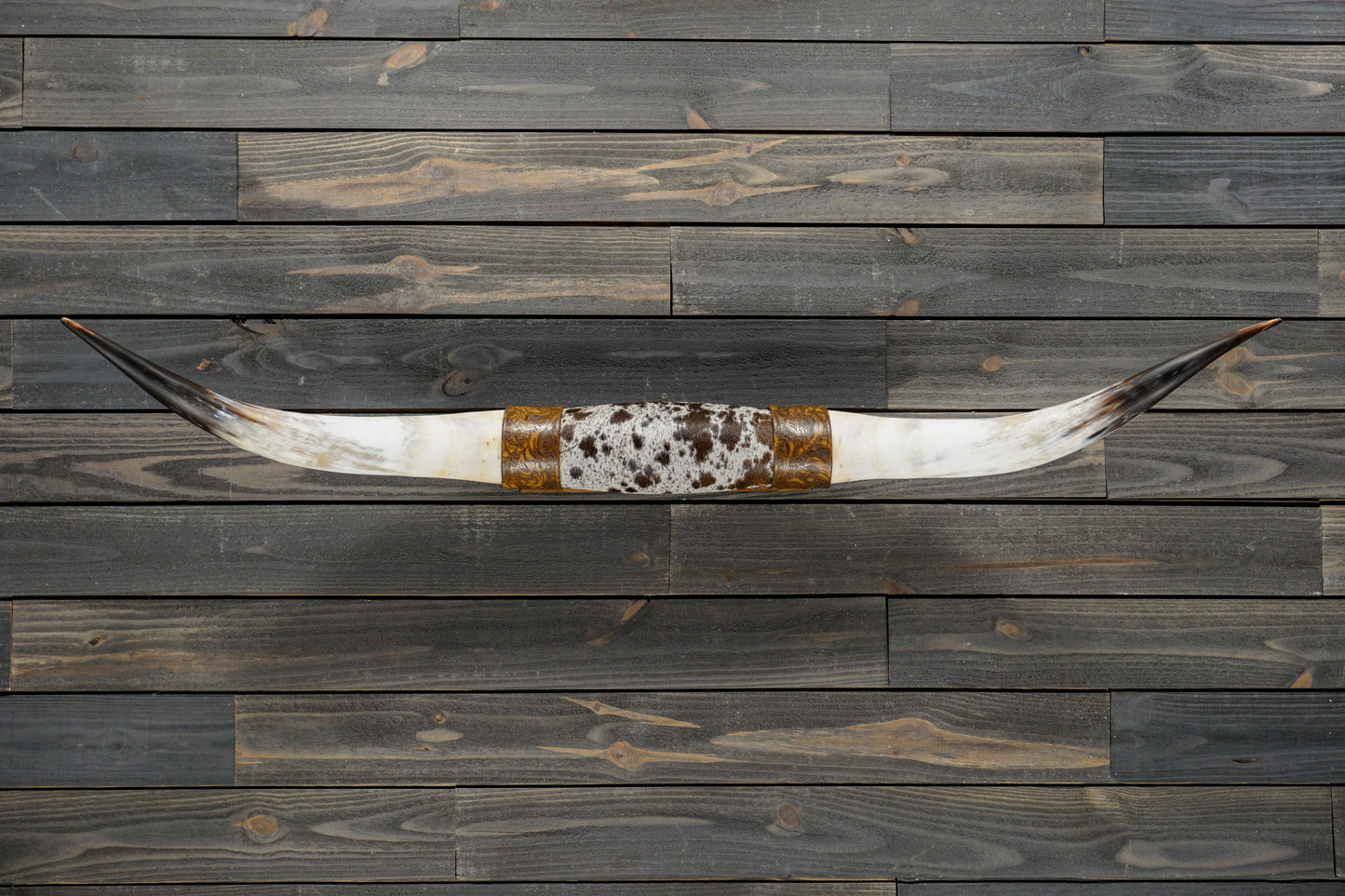 5' 2" Longhorn Wall Mount #329