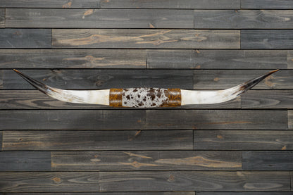 5' 2" Longhorn Wall Mount #329