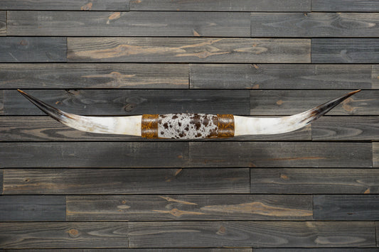 5' 2" Longhorn Wall Mount #329