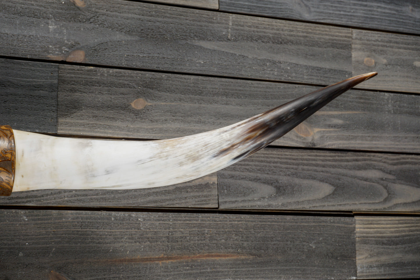 5' 2" Longhorn Wall Mount #329