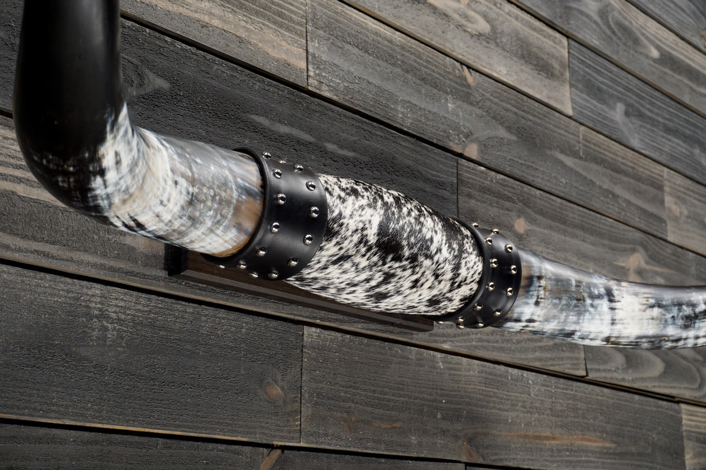 4' 8" Longhorn Wall Mount #332
