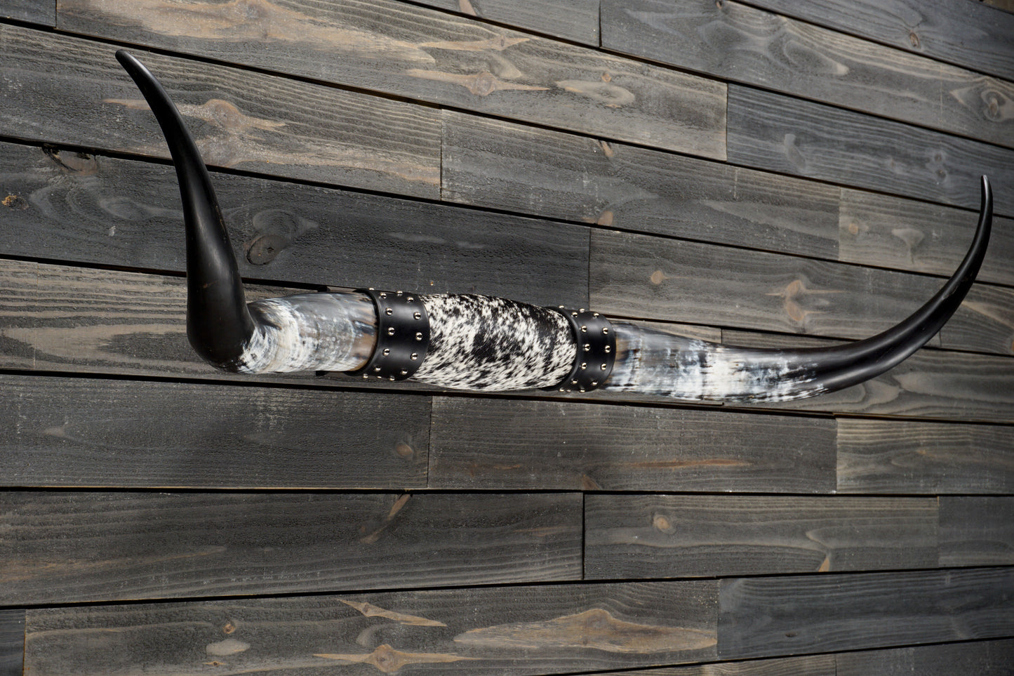 4' 8" Longhorn Wall Mount #332