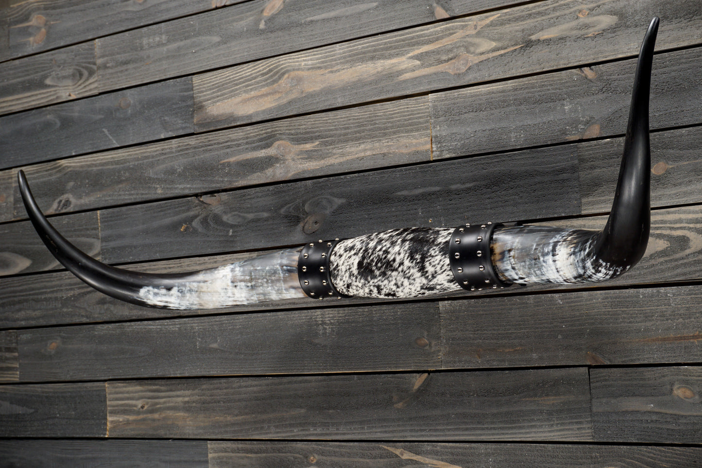 4' 8" Longhorn Wall Mount #332