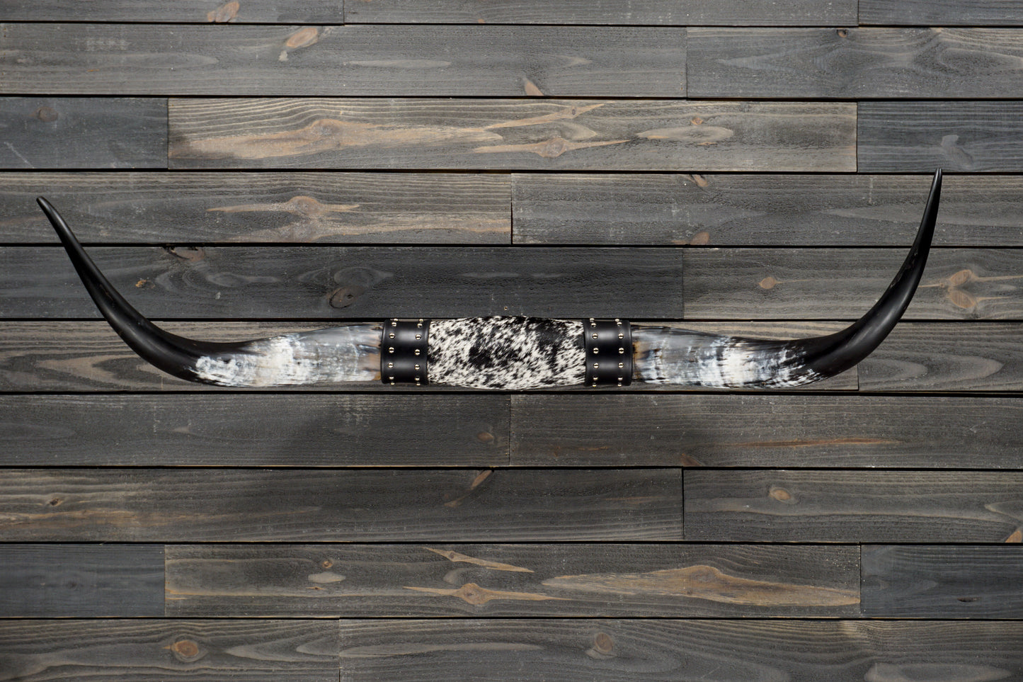 4' 8" Longhorn Wall Mount #332
