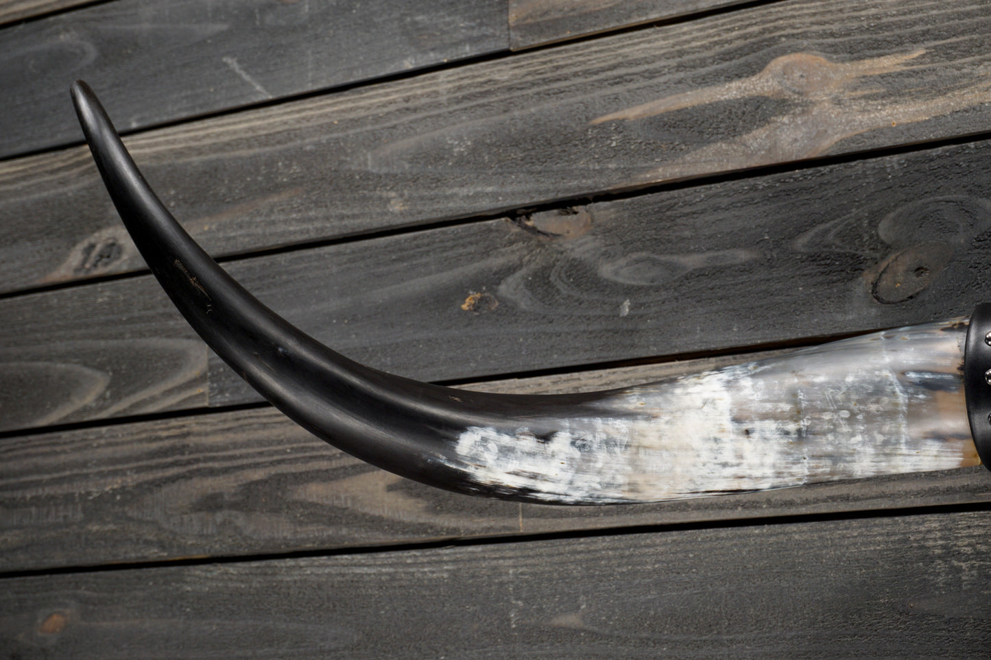 4' 8" Longhorn Wall Mount #332