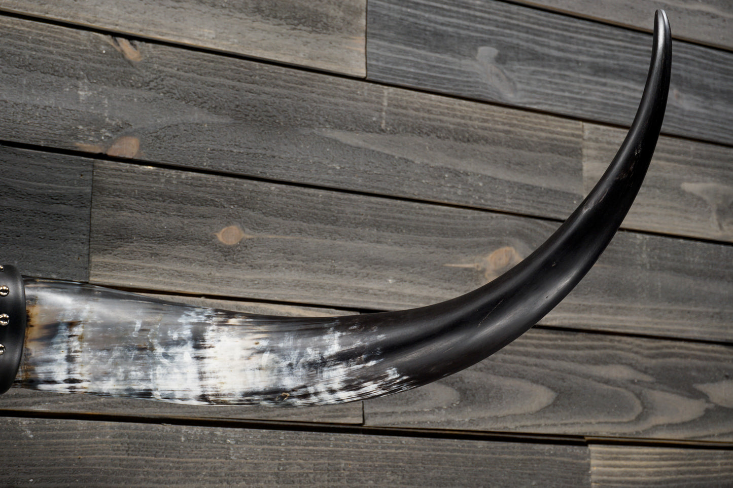 4' 8" Longhorn Wall Mount #332