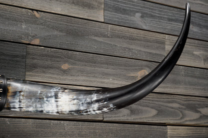 4' 8" Longhorn Wall Mount #332