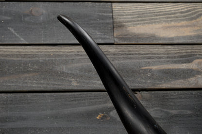 4' 8" Longhorn Wall Mount #332