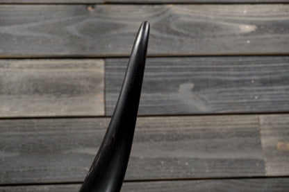 4' 8" Longhorn Wall Mount #332