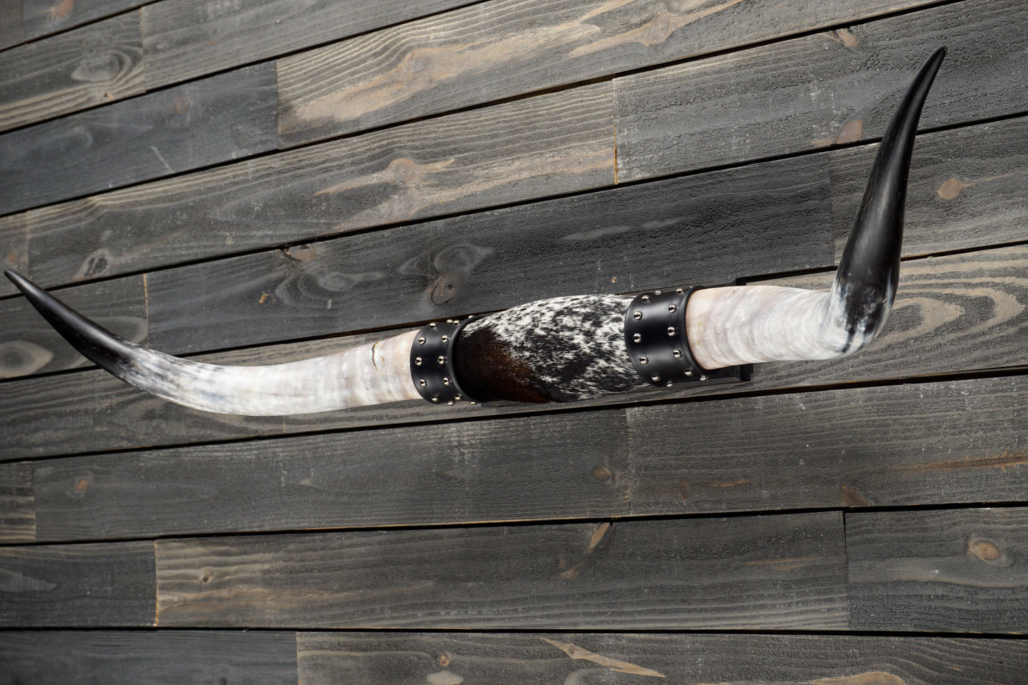 4' 10" Longhorn Wall Mount #336