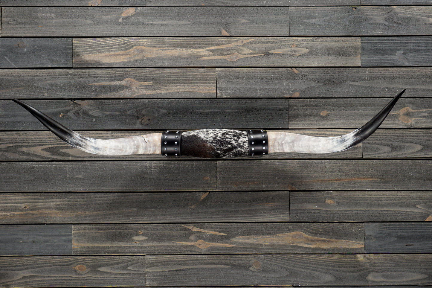 4' 10" Longhorn Wall Mount #336