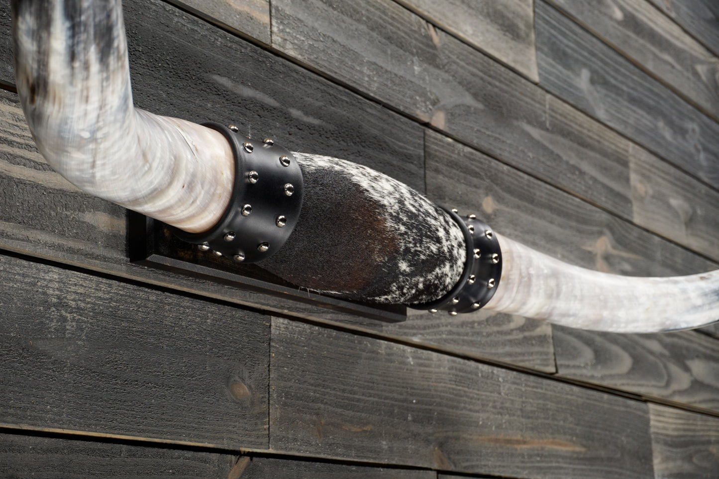 4' 10" Longhorn Wall Mount #336