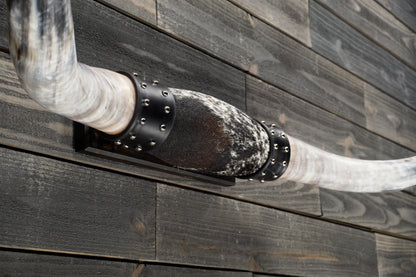 4' 10" Longhorn Wall Mount #336