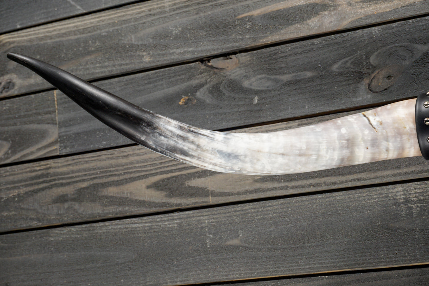 4' 10" Longhorn Wall Mount #336