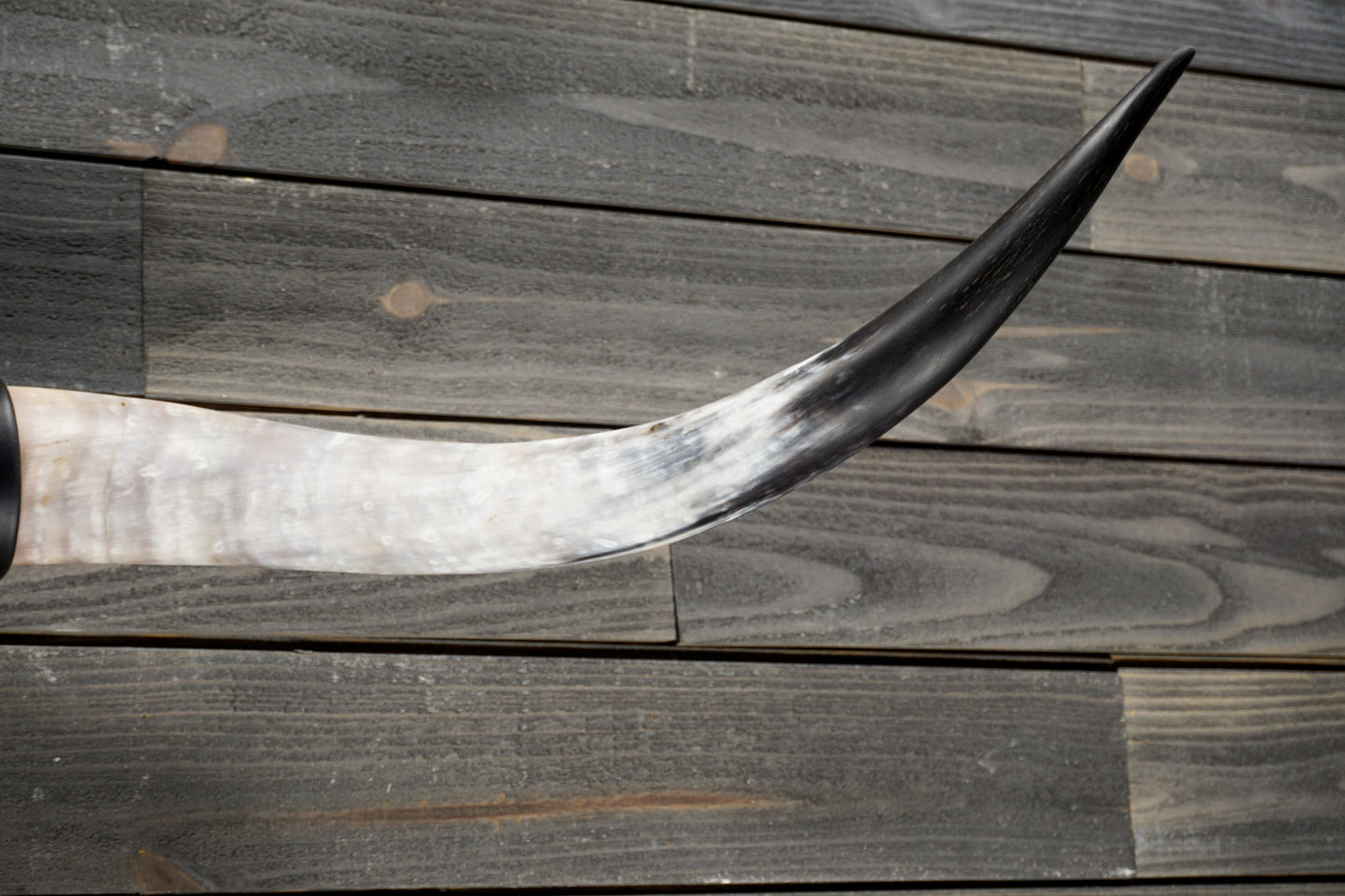 4' 10" Longhorn Wall Mount #336