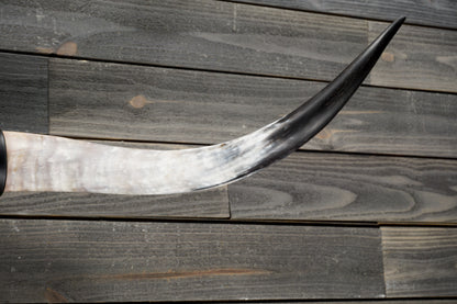 4' 10" Longhorn Wall Mount #336