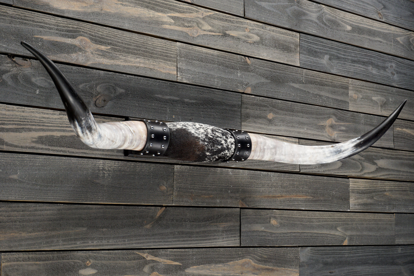 4' 10" Longhorn Wall Mount #336
