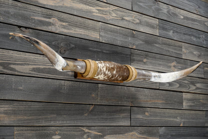 5' 3" Longhorn Wall Mount #340
