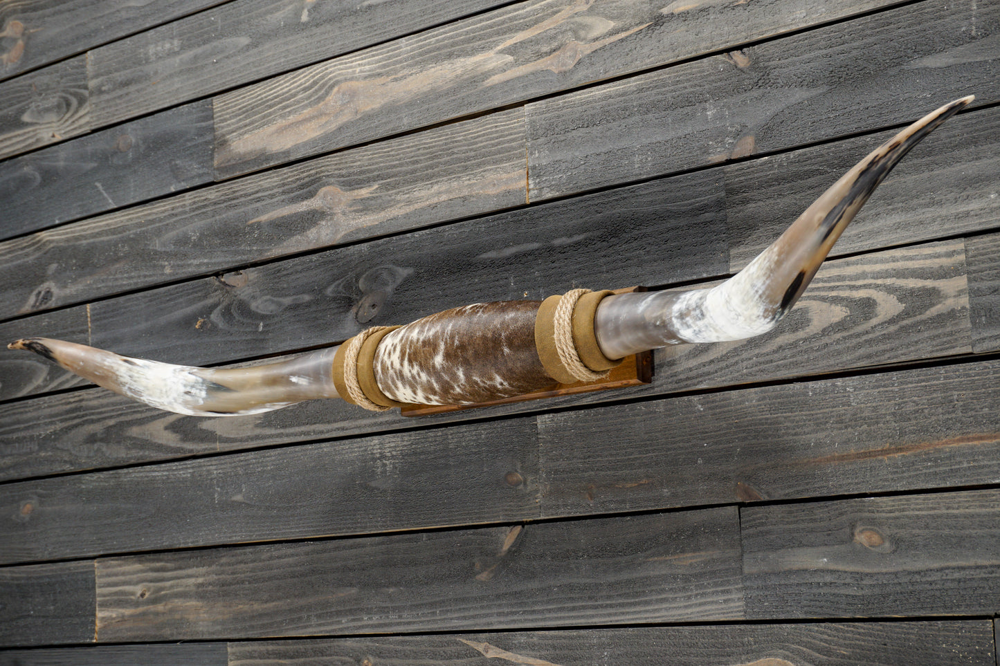 5' 3" Longhorn Wall Mount #340