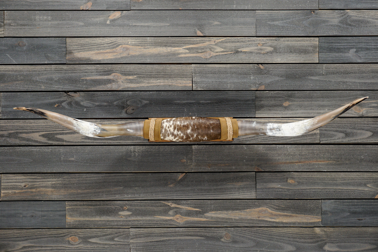 5' 3" Longhorn Wall Mount #340