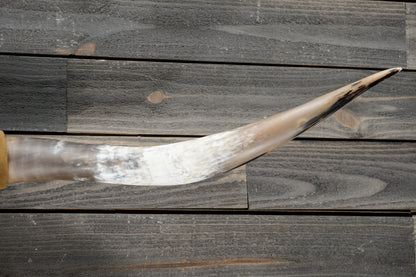 5' 3" Longhorn Wall Mount #340