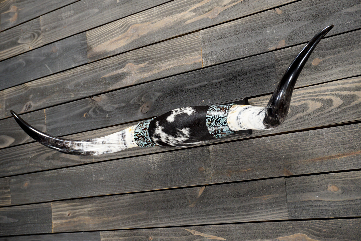 4' 8" Longhorn Wall Mount #361