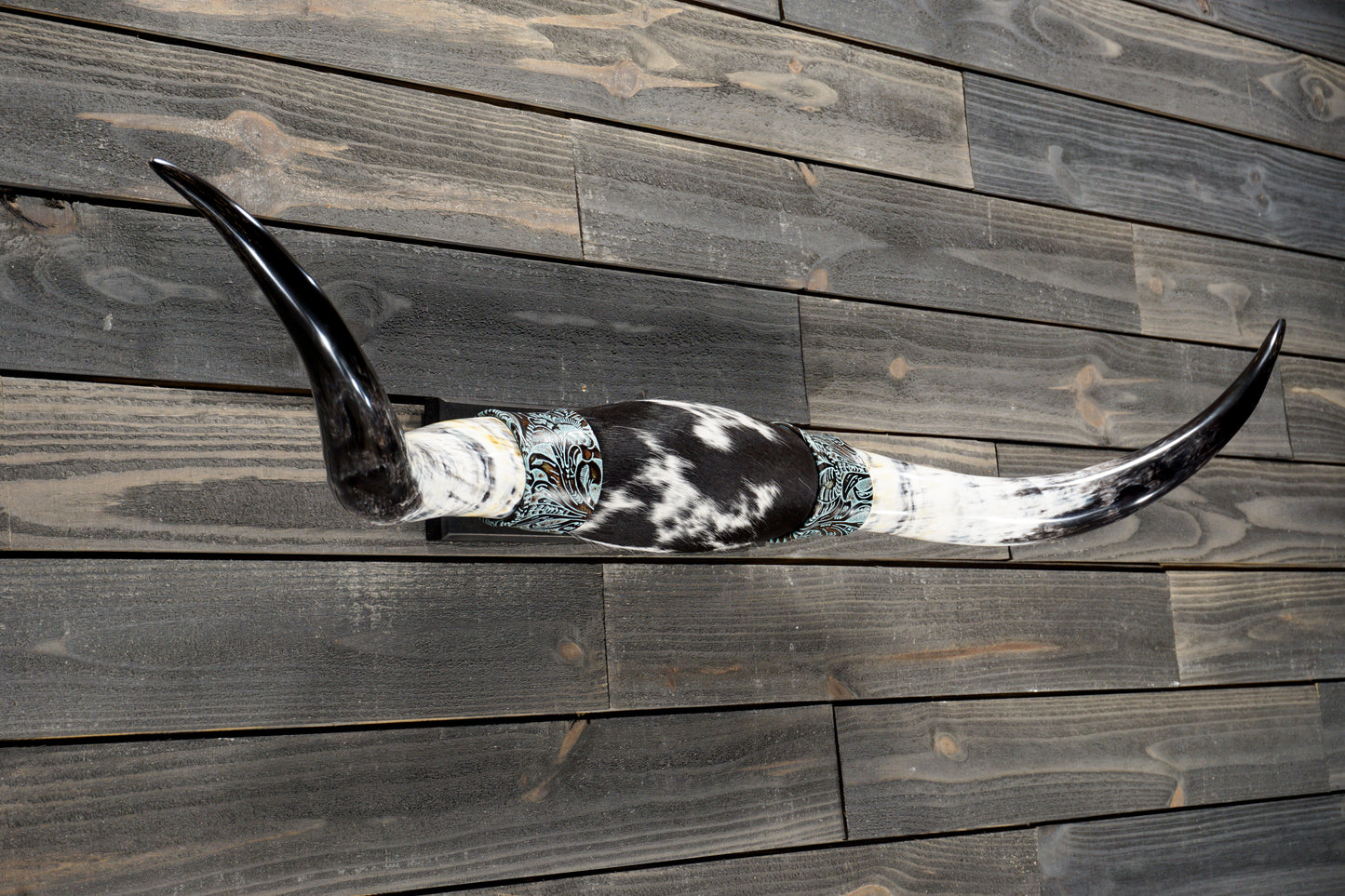 4' 8" Longhorn Wall Mount #361