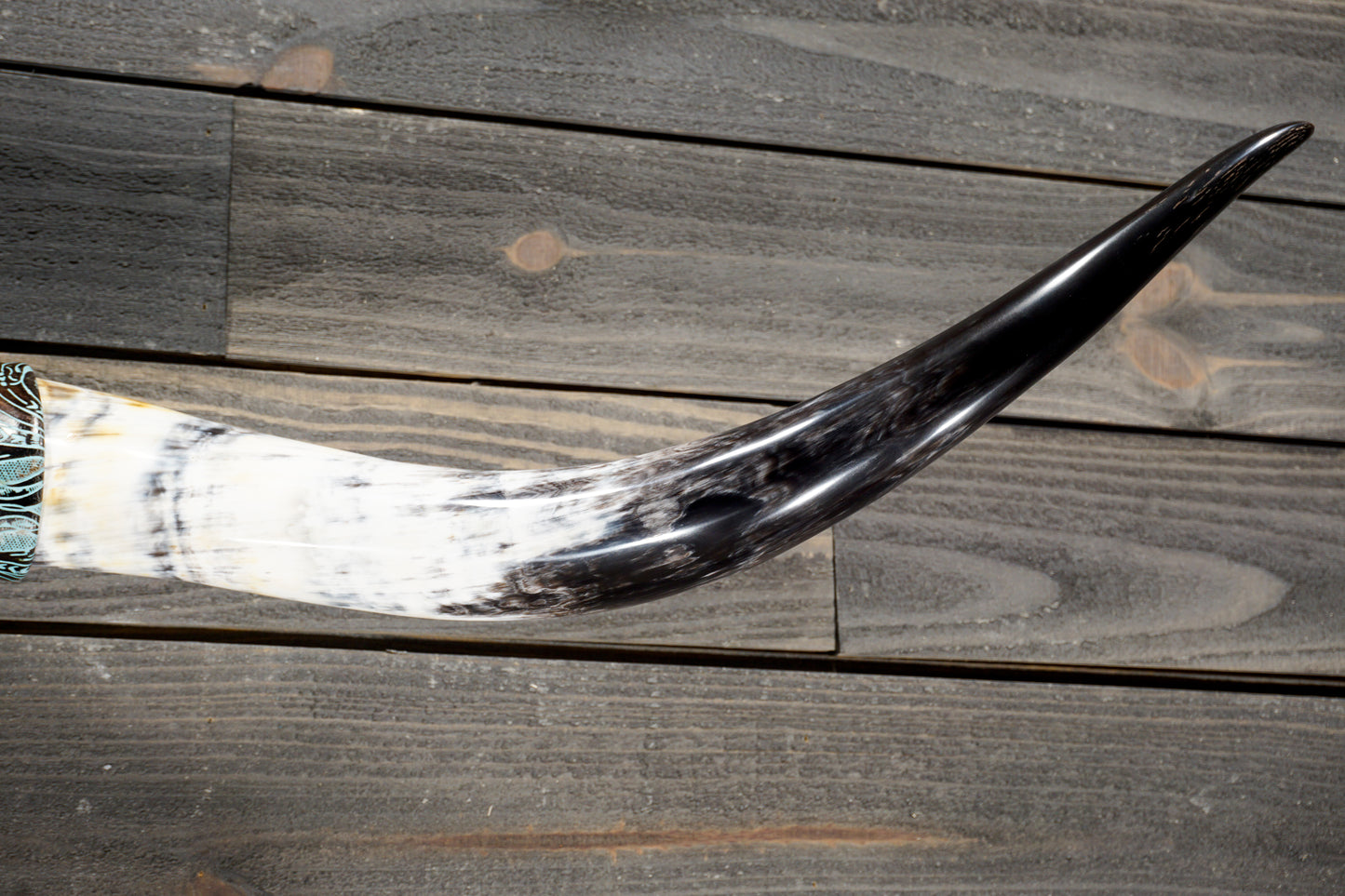 4' 8" Longhorn Wall Mount #361