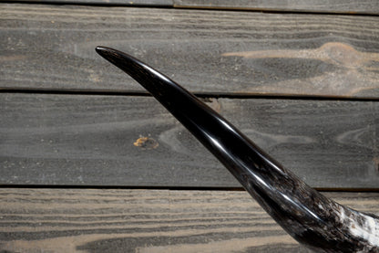4' 8" Longhorn Wall Mount #361